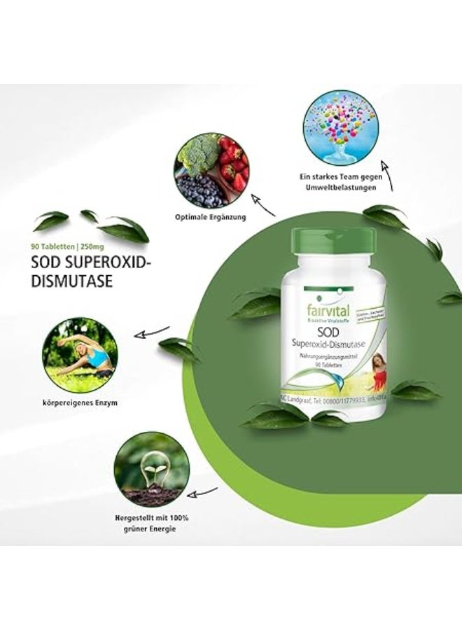 Fairvital SOD – Superoxide Dismutase – 6000 Enzyme Activity Units per Daily Portion – Supports Antioxidant Defense & Cellular Health – 90 Tablets – Made in Germany - Image 5